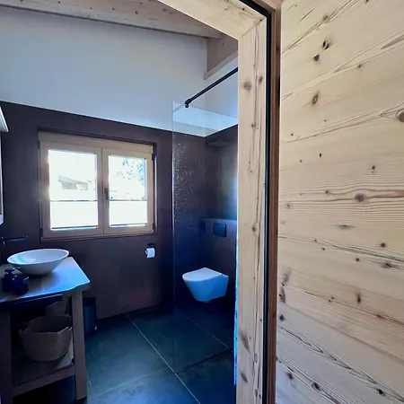 公寓 Hirschegg - Modernes Dorfchalet Mit Panorama 洛伊塔施
